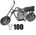 T100